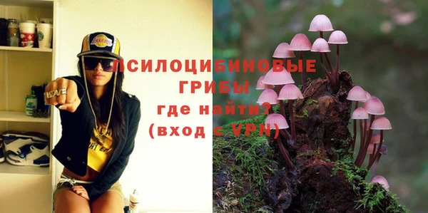 метадон Белокуриха