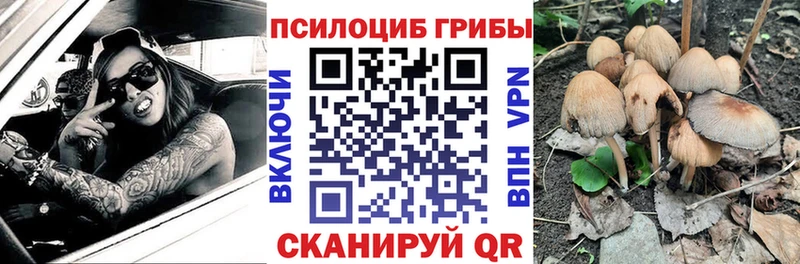 Галлюциногенные грибы ЛСД Гвардейск